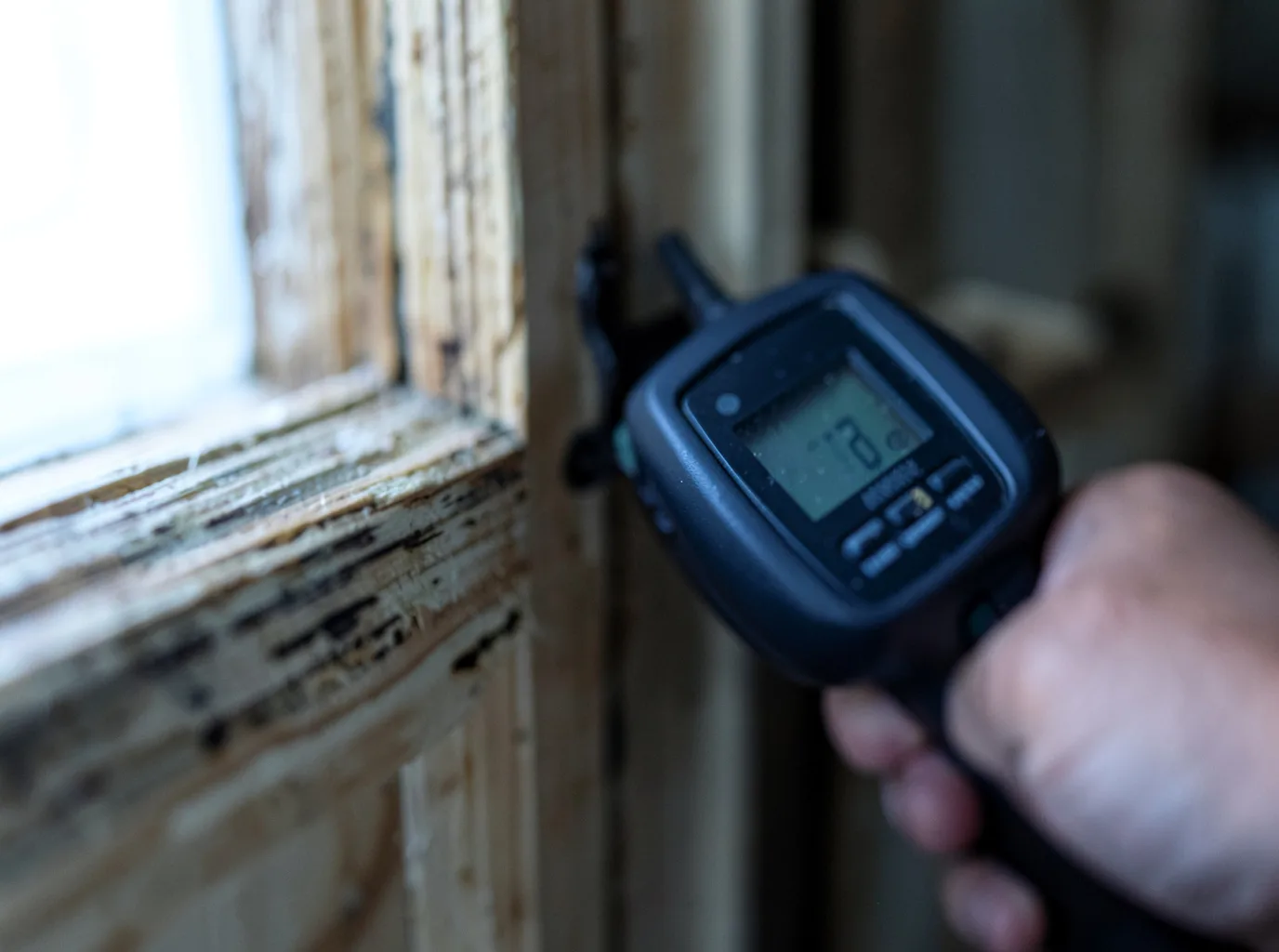 Water Damage Restoration Union, WA FAQs
